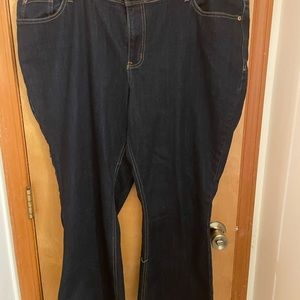 Maurices Non-Distressed High Rise Jeans 22w Short